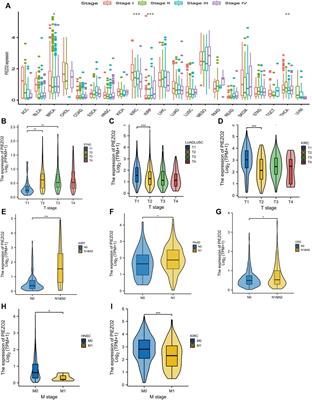 A pan-cancer analysis reveals the genetic alterations and immunotherapy of Piezo2 in human cancer